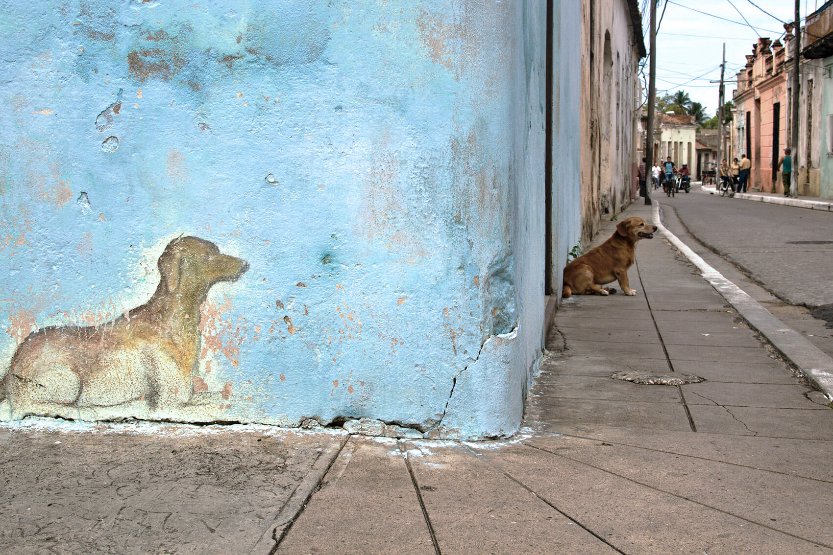 A doggy and his painted alter ego in Camagüey